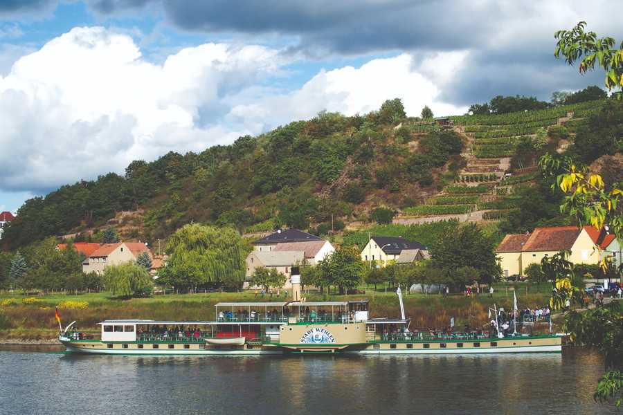 Ein Dampfer der Sächsische Dampfschifffahrt vor den Weinbergen im MEISSNER LAND